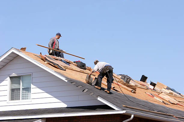 Best Roof Ventilation Installation  in Indian Rocks Beach, FL